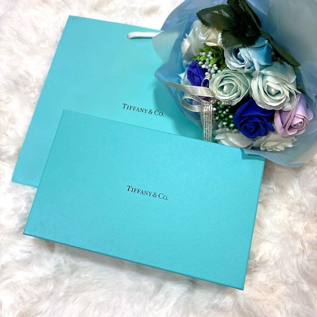 TIFFANY ティファニー カラーブロック ウィドポシェ アクセサリートレイ