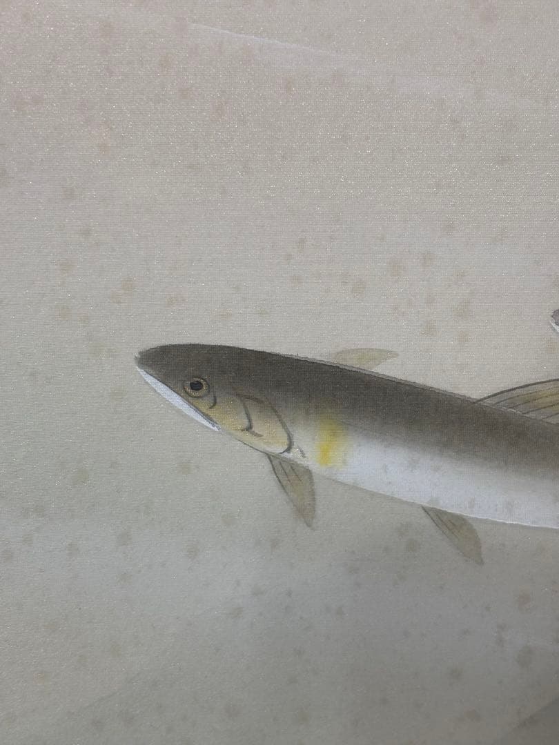 「香魚」　川島麦庵　掛け軸 掛軸 二重箱　桐共箱二重箱付