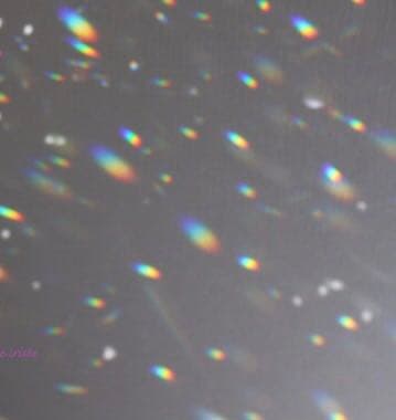 スワロフスキー正規品サンキャッチャー #8721ペアシェイプ型 50x29mm