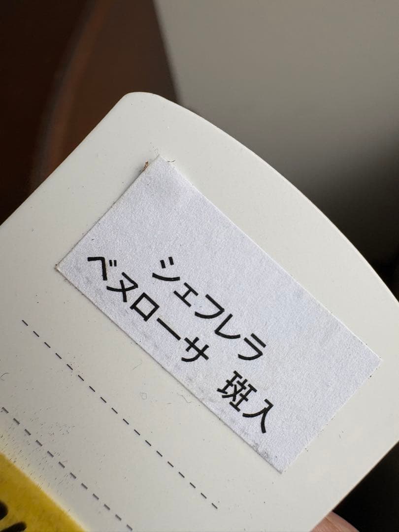 シェフレラ ベヌローサ 斑入り 4号ロング