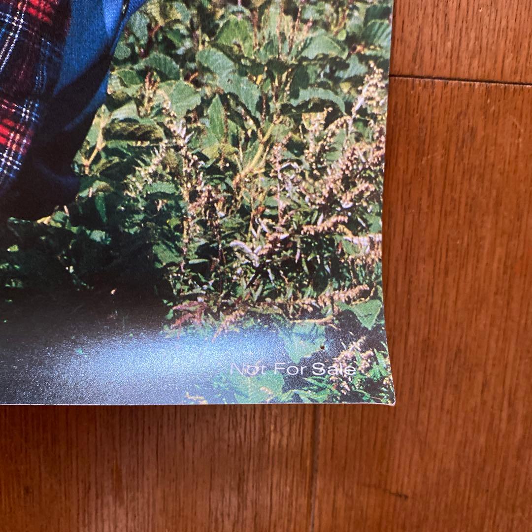 電気グルーヴ ポスター ビタミン