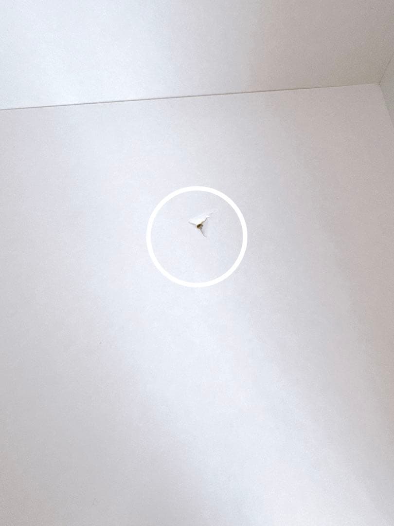 プルメリア　キャビネット