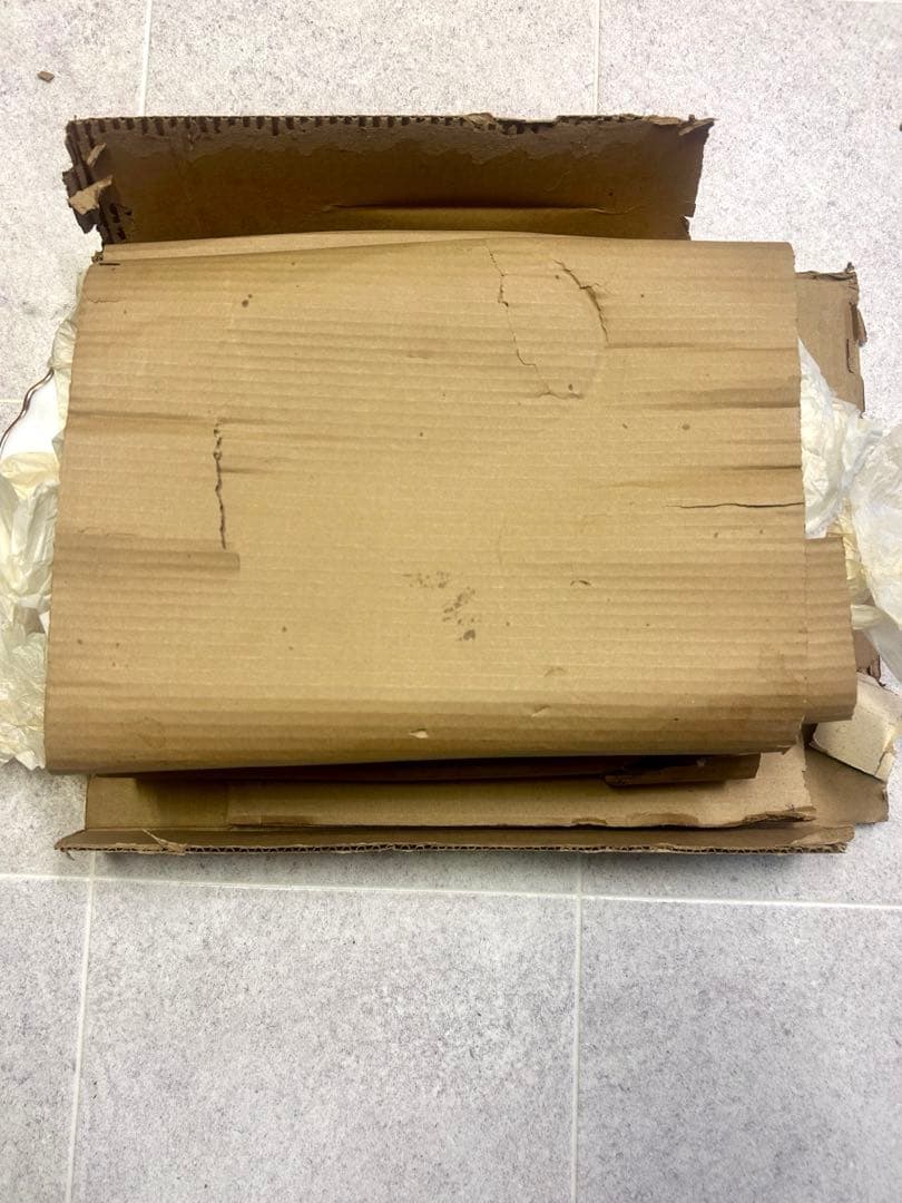 OKURA 大倉陶園　 片葉金蝕シリーズ　プレート2枚セット