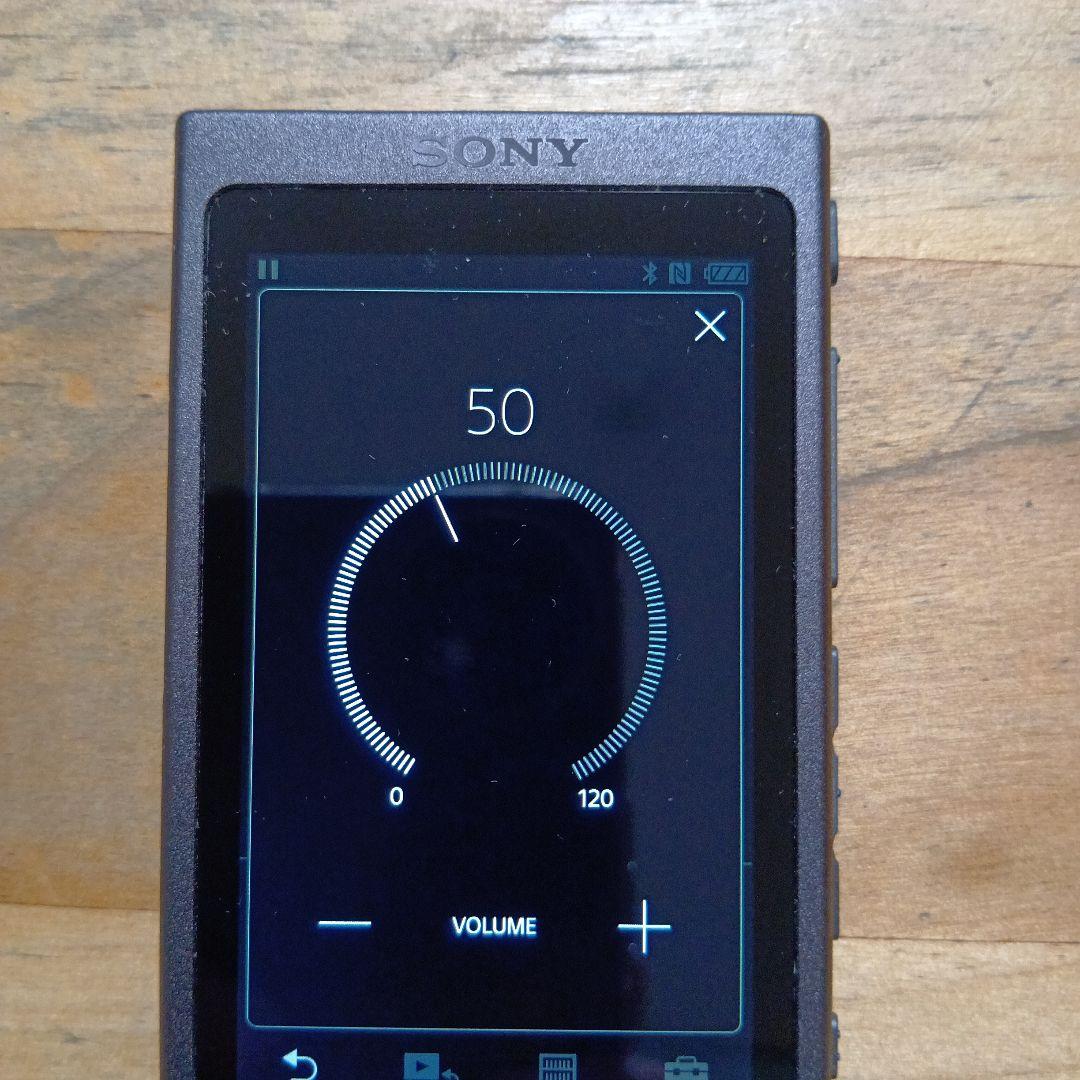 サ*マ様 SONYウォークマンNW-A45　16GB