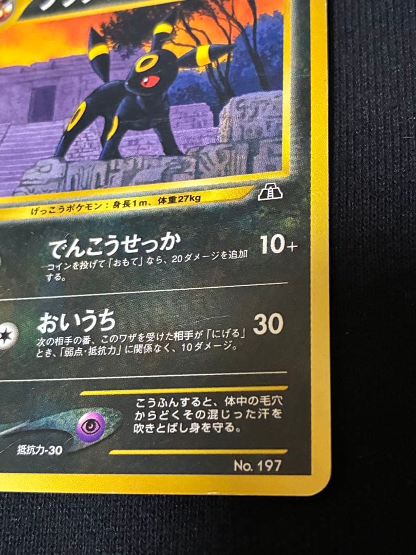 旧裏　ブラッキープレミアムファイル2 PROMO ポケモンカード