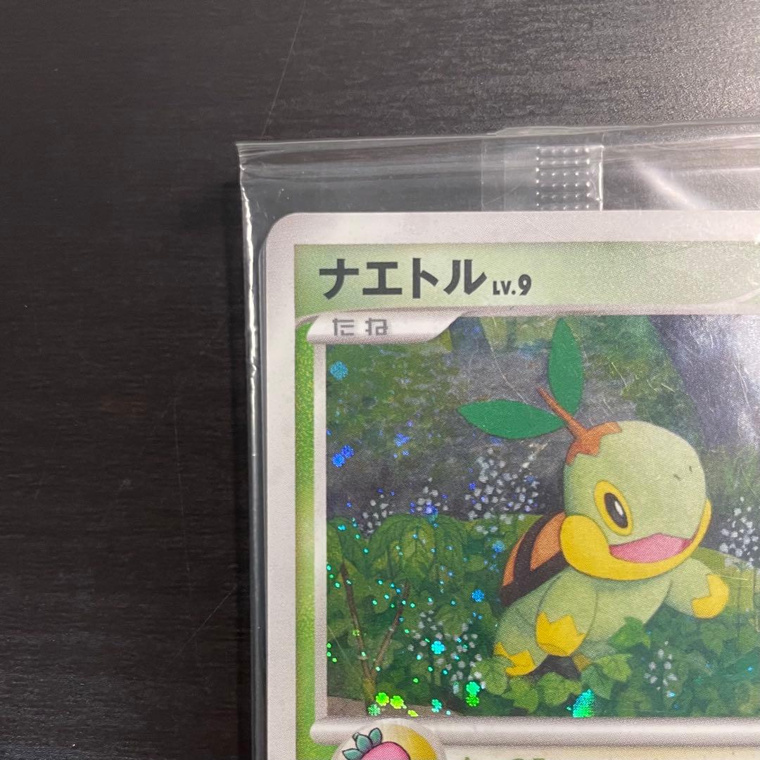 【新品・未開封】ナエトル ヒコザル ポッチャマ プレイヤーズ プロモ