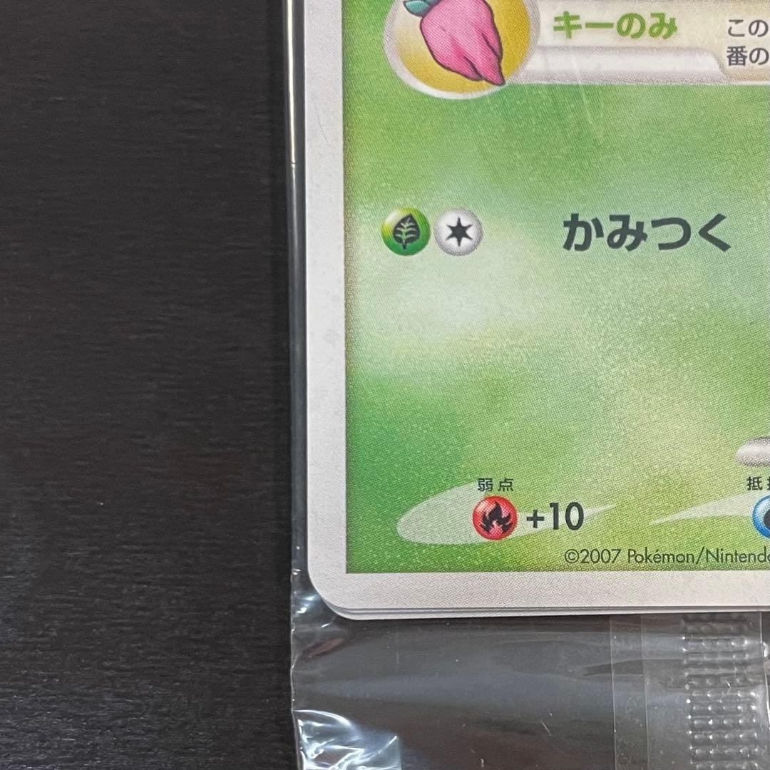 【新品・未開封】ナエトル ヒコザル ポッチャマ プレイヤーズ プロモ