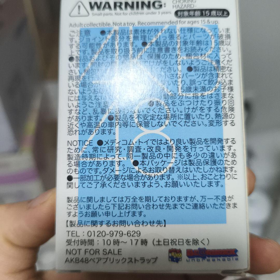 【希少品】BE@RBRICK ベアブリック SKE48 AKB48 51体