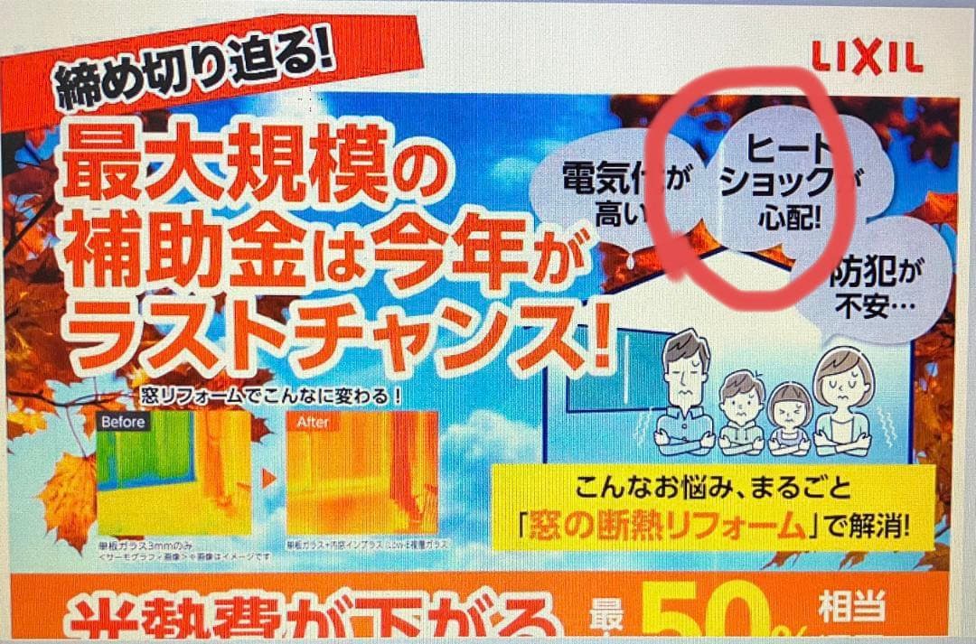 スキャナー（型番：DS-530）_エプソン