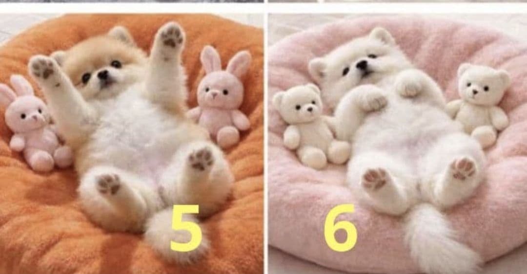 ピーチ