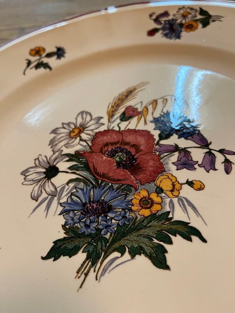 フランスアンティーク　プレート　サルグミンヌ アグレスト　大皿32cm