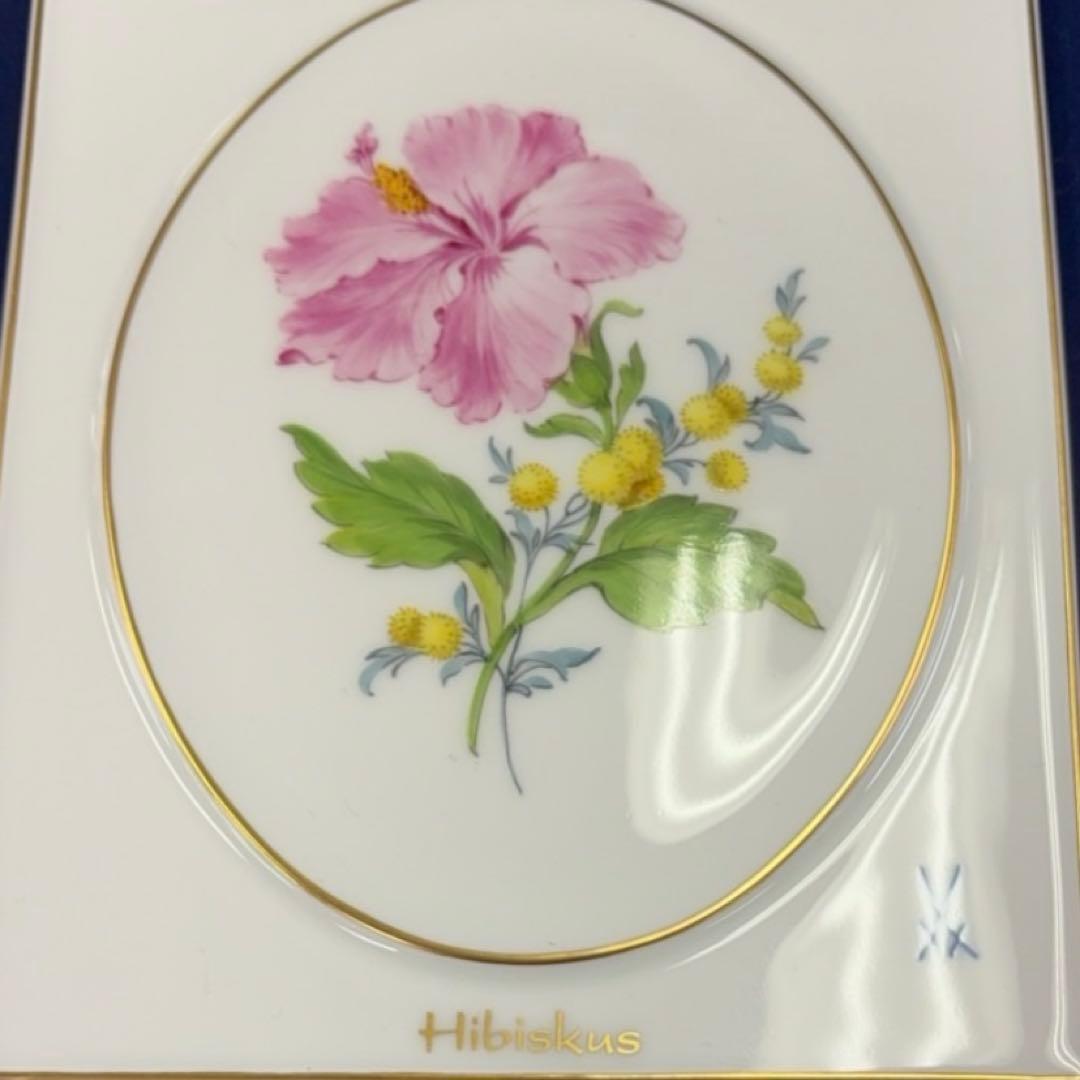 マイセンプラークハイビスカス