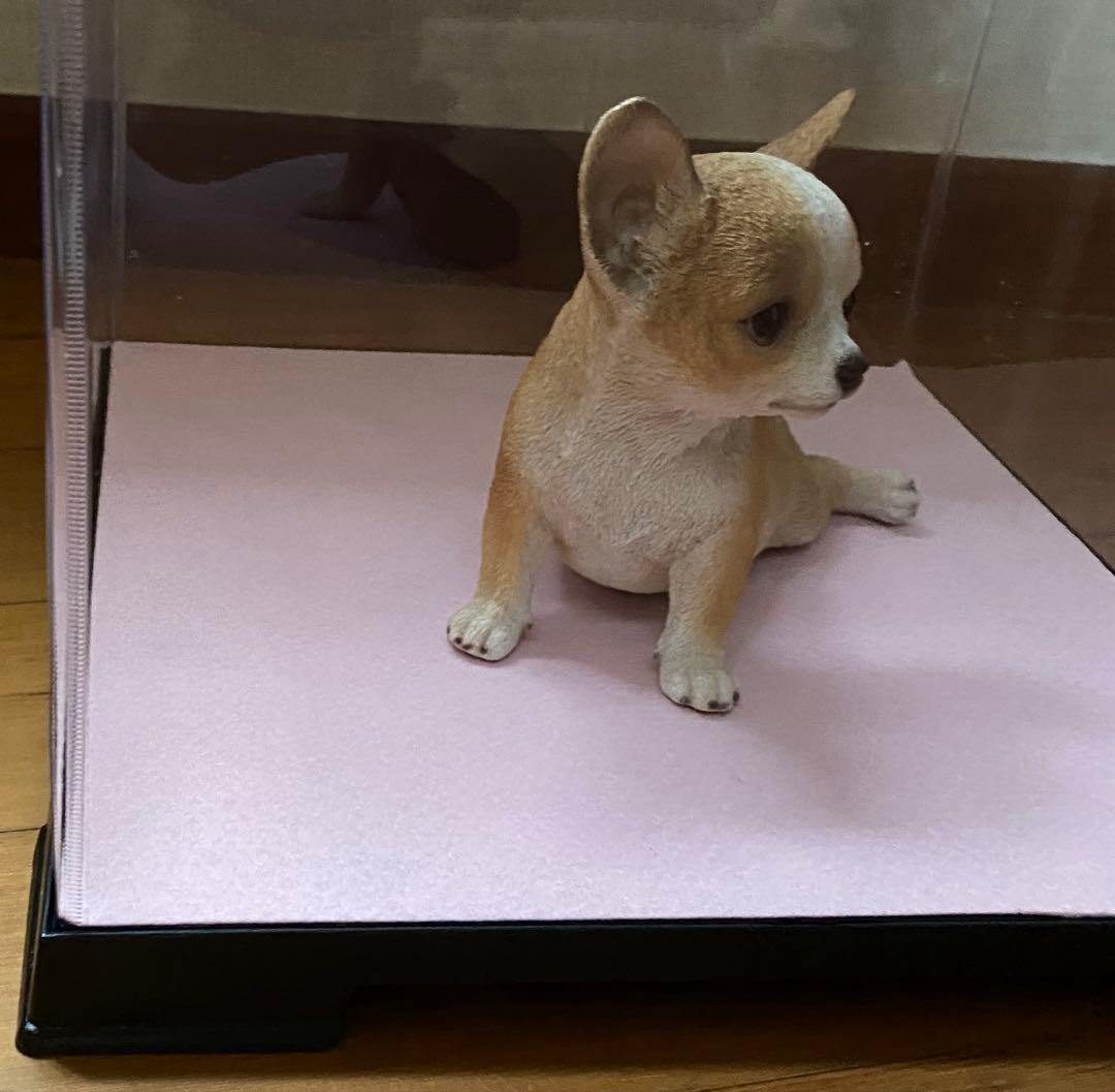 フィギュア・フラワー・人形ケース