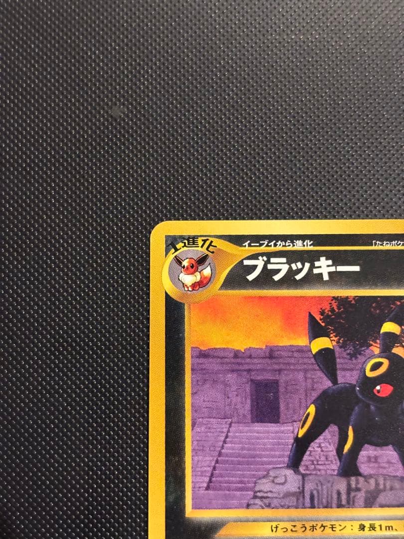 旧裏　極美品　ブラッキー　プレミアムファイル2 ★neo 遺跡をこえて