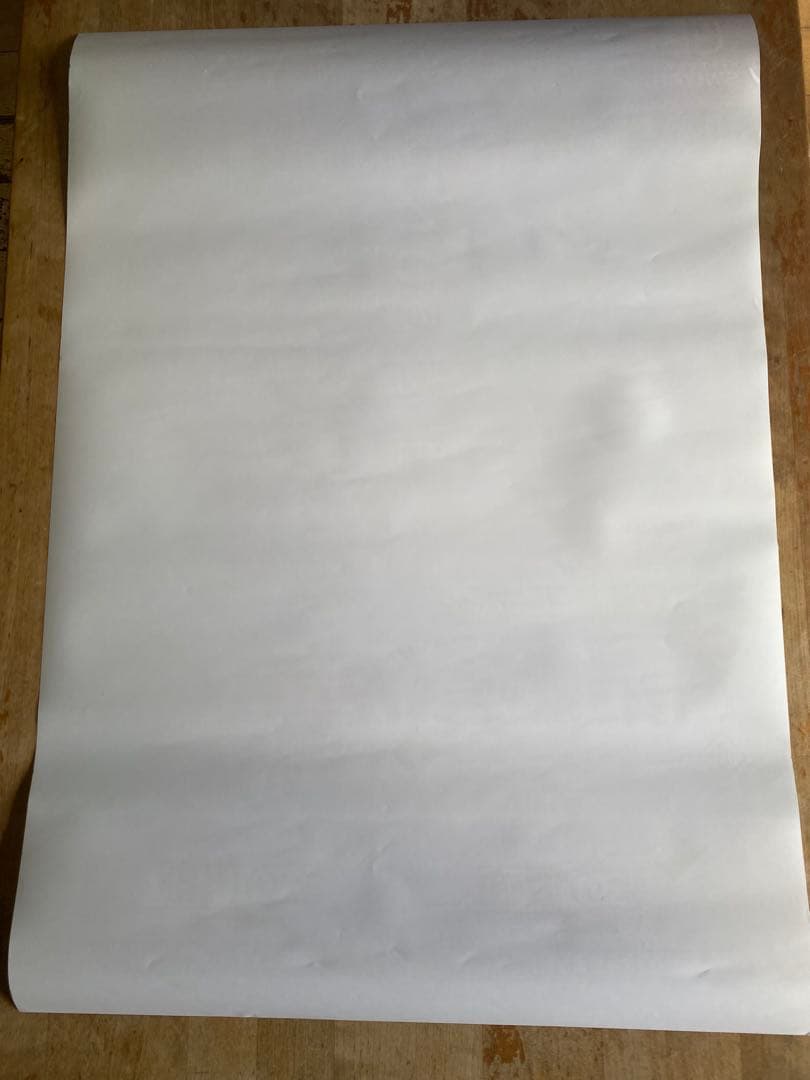 ポケモン ゼロの秘宝 ポスター　B2サイズ