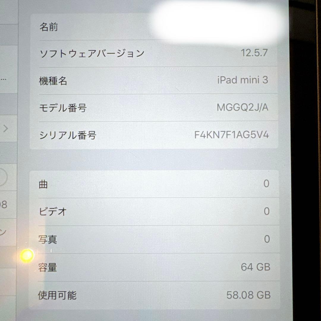 Apple iPad mini3 64GB wi-fiモデル 100% 第3世代