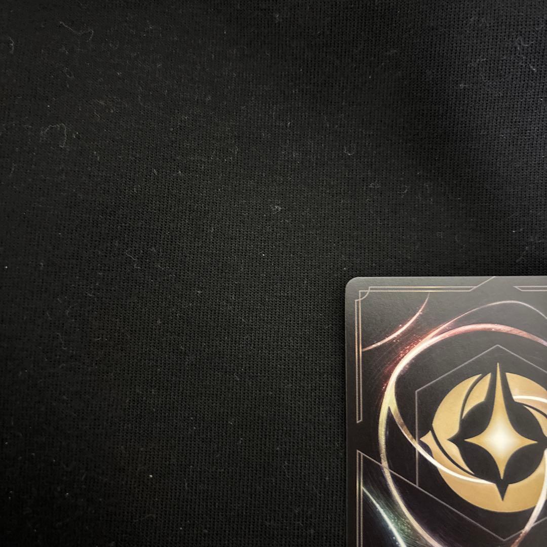 (美品) アナ 誠心なる姫君 エンチャンテッド ディズニー ロルカナ