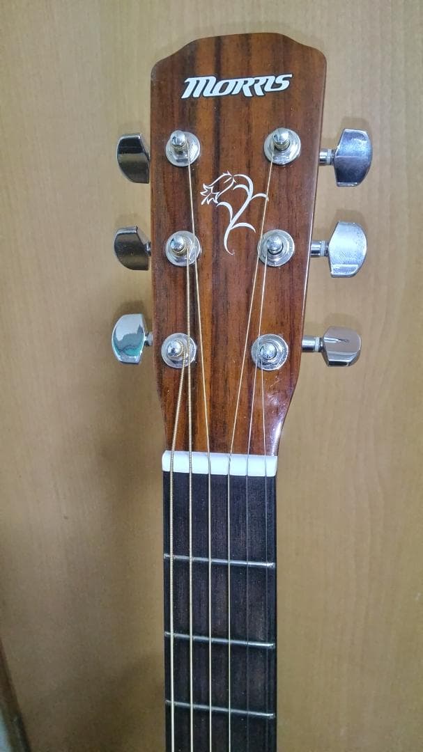 ❤️弦高調整済！「MORRIS モーリス F-01 II　 F-ゼロワン2 」