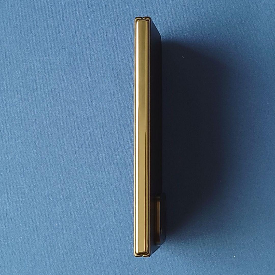 Google Pixel 9 Pro Fold　ドコモ256GB　コーティング済