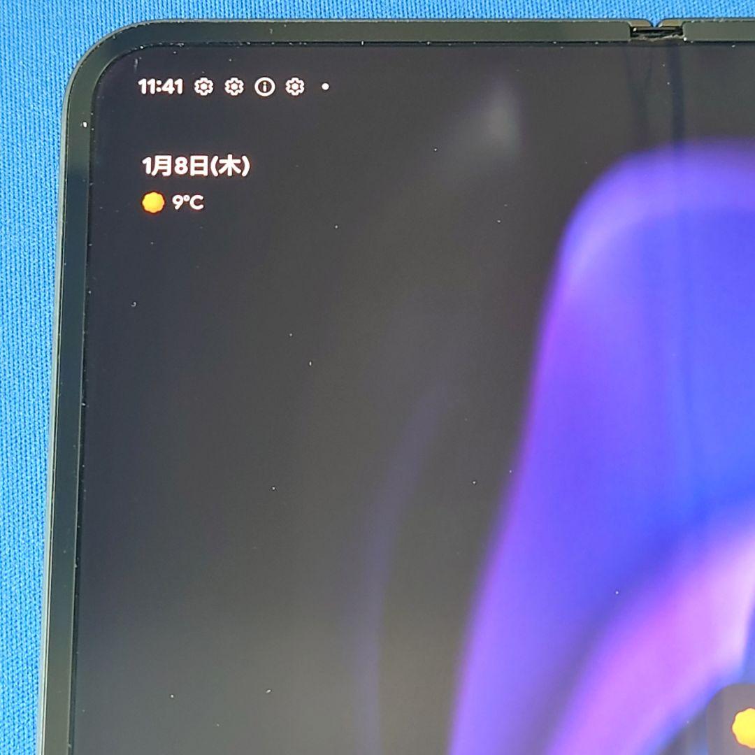 Google Pixel 9 Pro Fold　ドコモ256GB　コーティング済