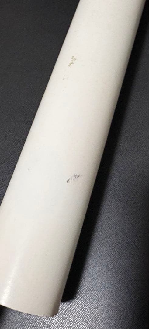 B1ポスター アグネス ラム 新 海物語 Agnes Lum販促 告知 レア