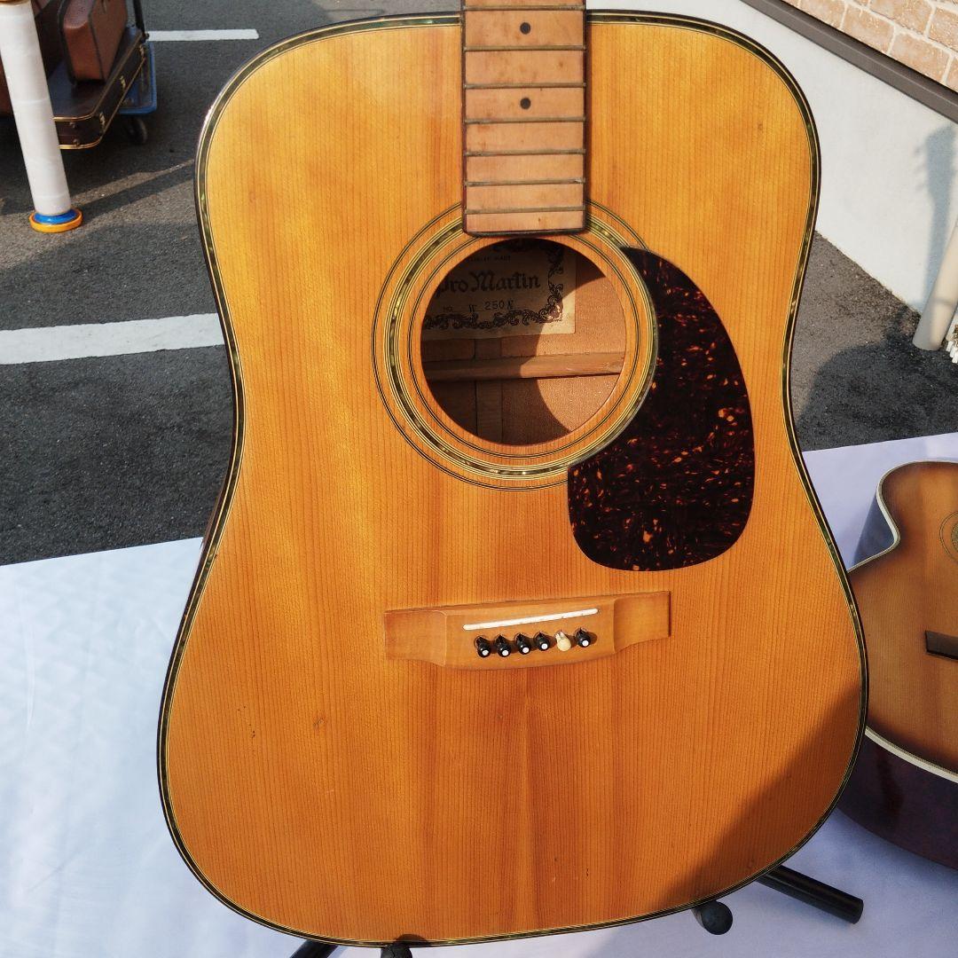 ProMartin W250Nアコースティックギター【ヴィンテージ】
