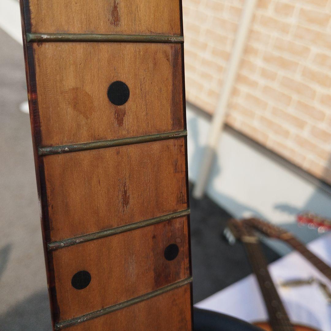 ProMartin W250Nアコースティックギター【ヴィンテージ】