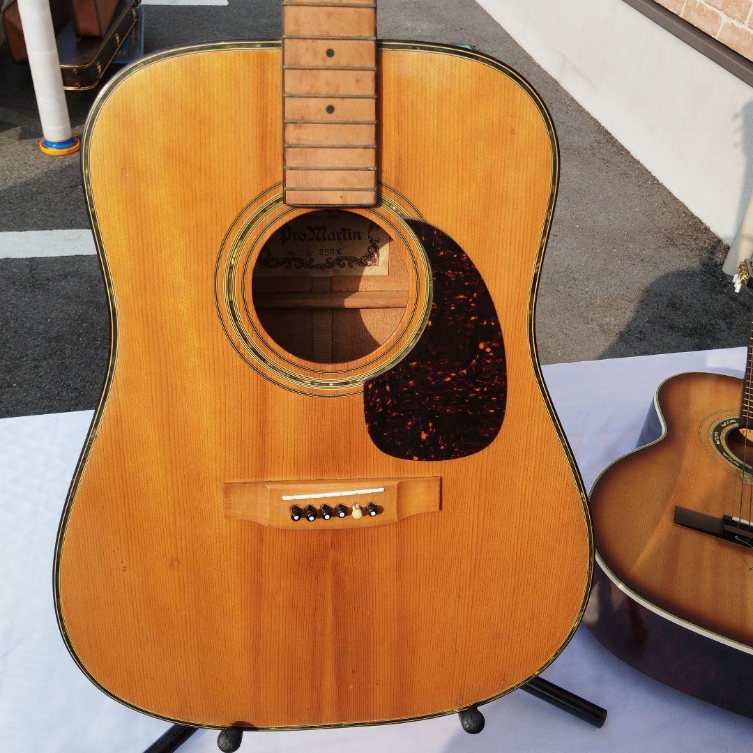 ProMartin W250Nアコースティックギター【ヴィンテージ】