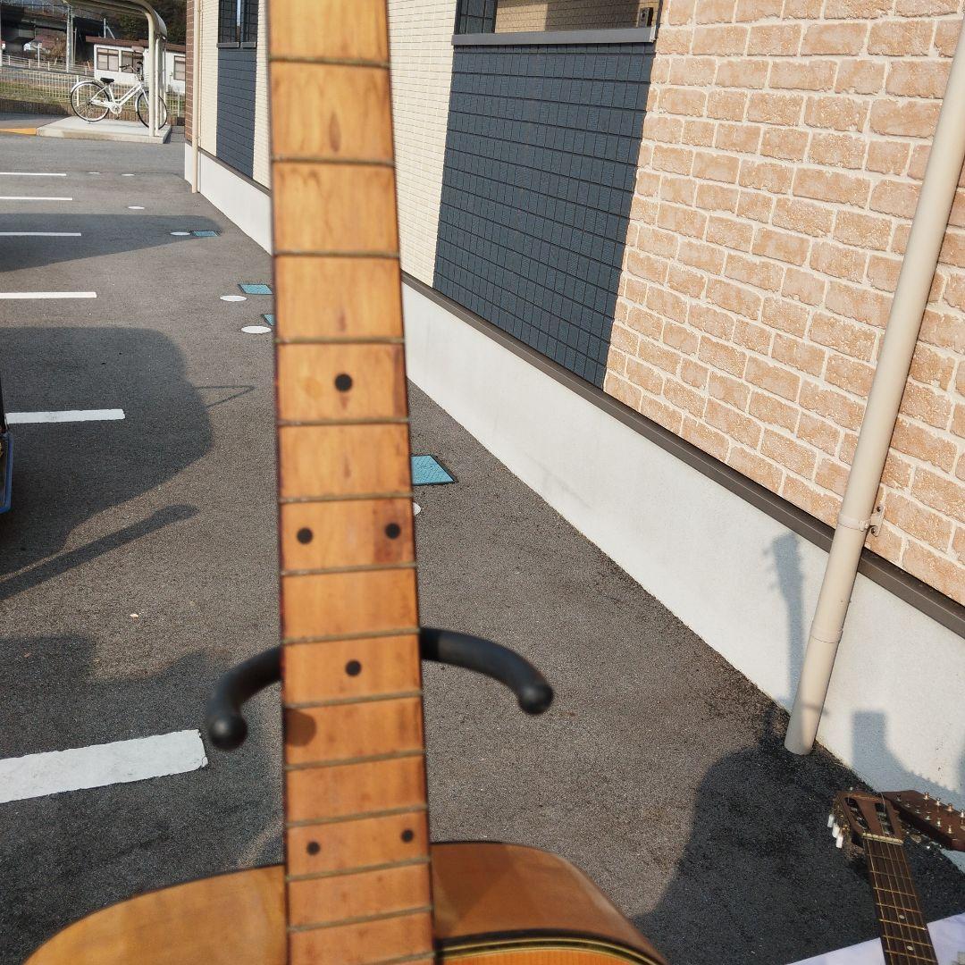 ProMartin W250Nアコースティックギター【ヴィンテージ】