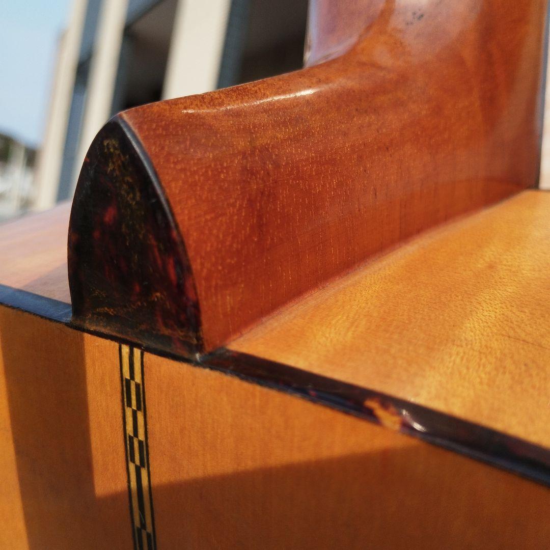 ProMartin W250Nアコースティックギター【ヴィンテージ】