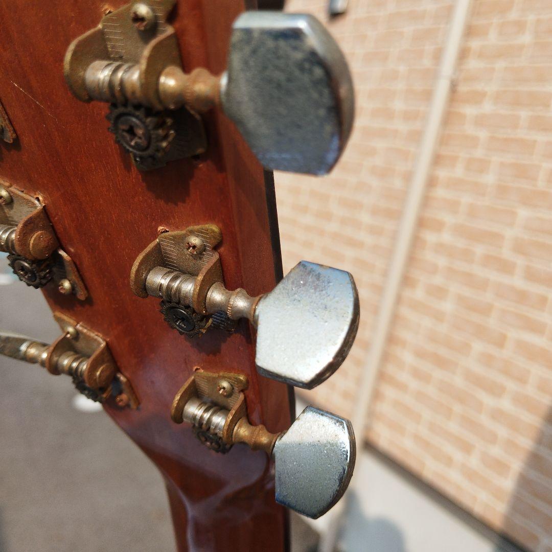 ProMartin W250Nアコースティックギター【ヴィンテージ】