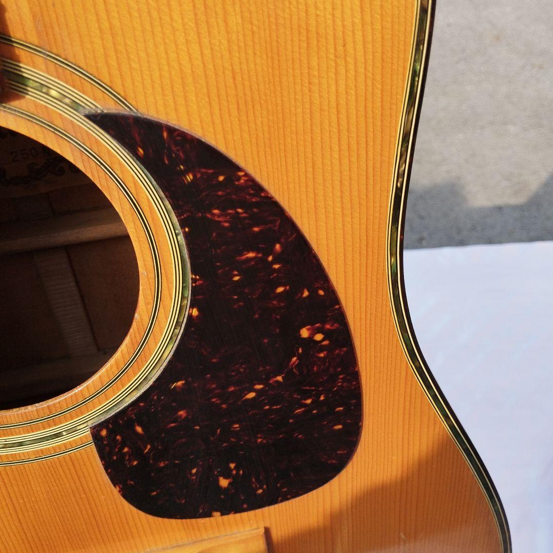 ProMartin W250Nアコースティックギター【ヴィンテージ】