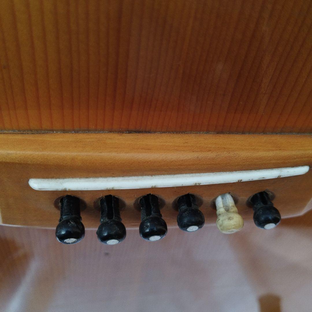 ProMartin W250Nアコースティックギター【ヴィンテージ】