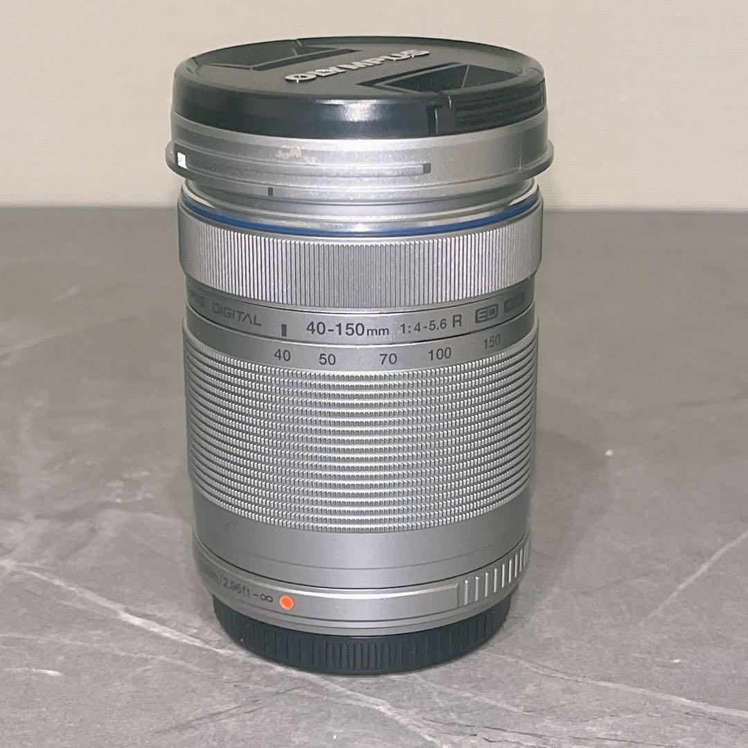 OLYMPUS PEN E-PL10 EZダブルズームキットカメラ