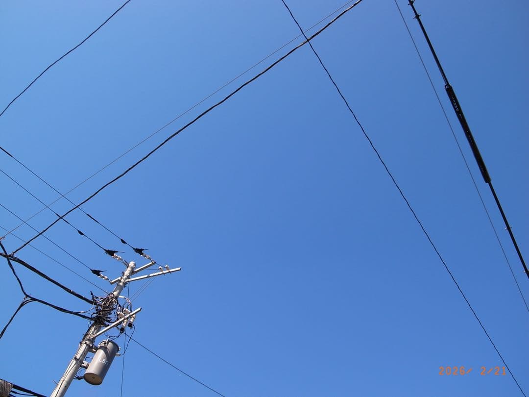 RICOHリコー GR DIGITAL III（GRデジタル3）完動・美品