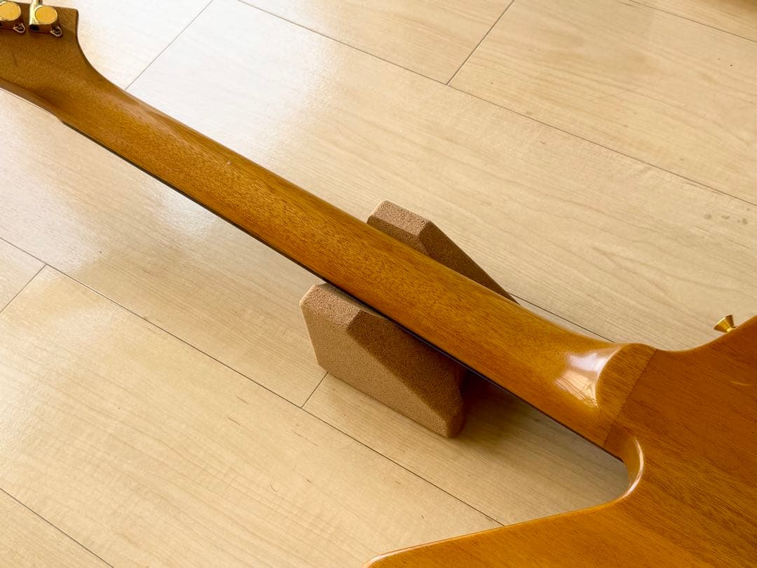 EDWARDS エクスプローラー／ダンカンPU／ナチュラル