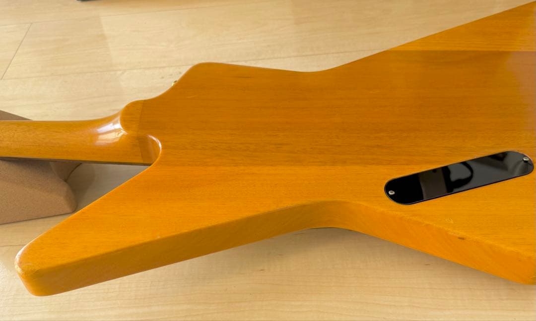 EDWARDS エクスプローラー／ダンカンPU／ナチュラル