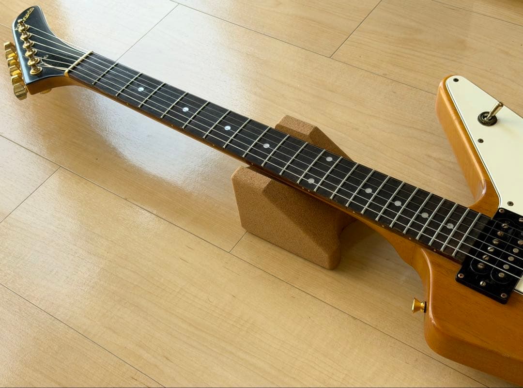 EDWARDS エクスプローラー／ダンカンPU／ナチュラル