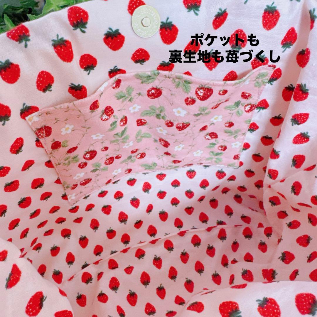 ひ*こ様 コヤンイサムチョン♡苺づくし♡ボリちゃん！オッドアイのフリルトートバッ