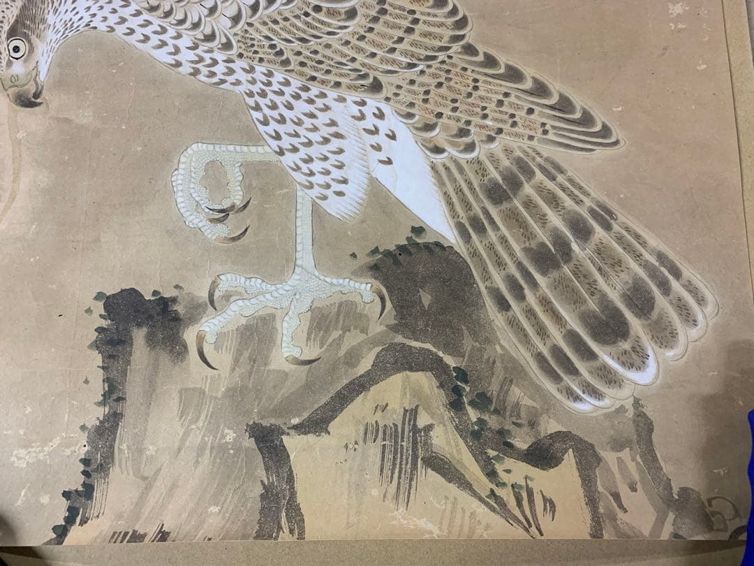 『1880』鷹図 マクリ三枚セット 作者不明