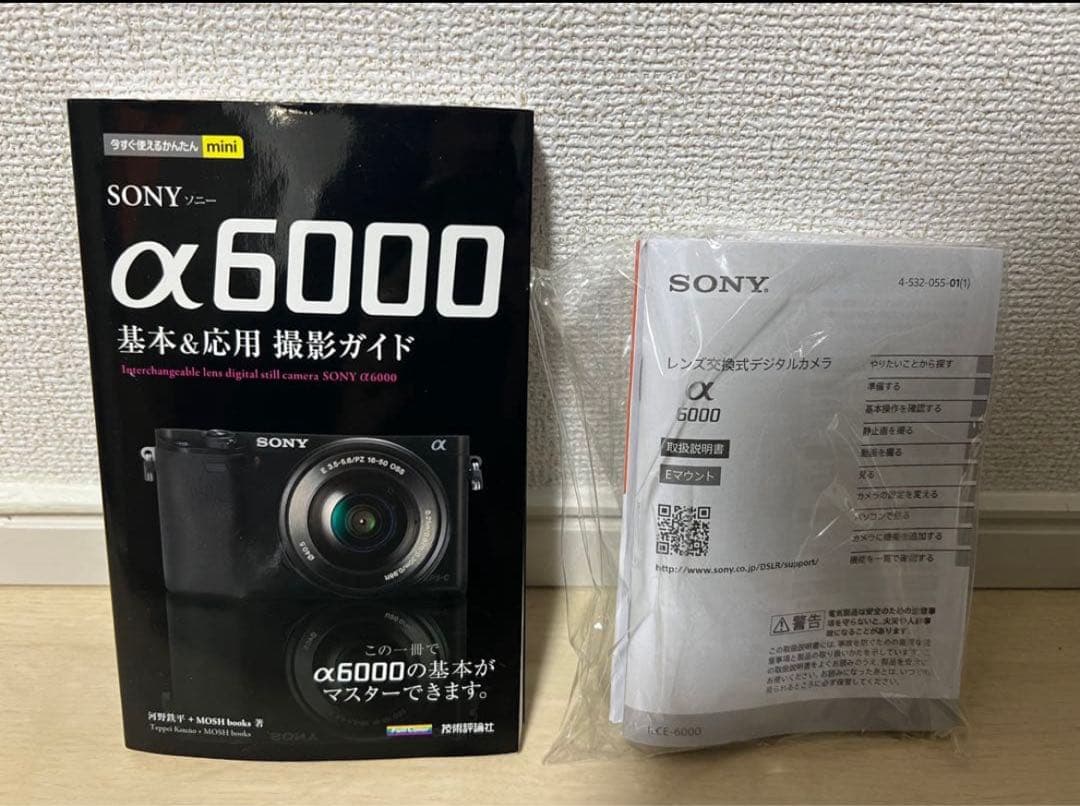SONY α6000 ミラーレス一眼 本体＋付属品【再出品】