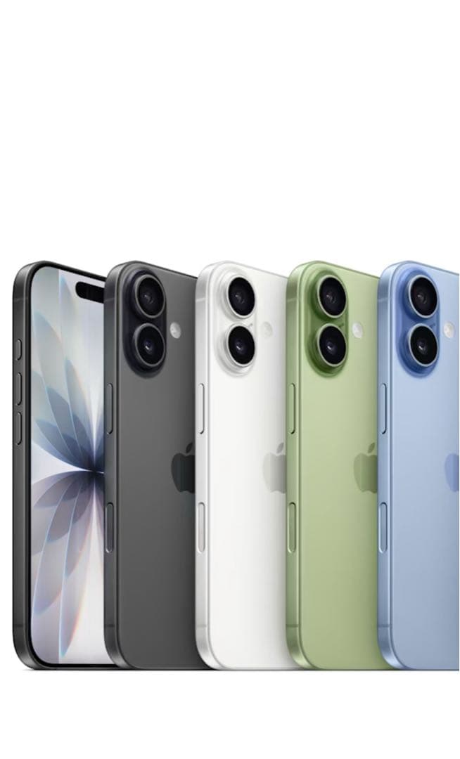 Apple iPhone17 256GB ブラック　(即日発送)