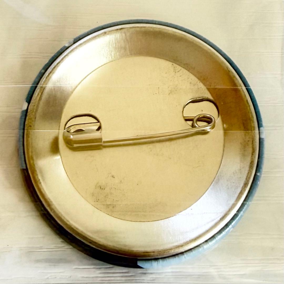 カラフルピーチ だるまさんがころんだ サバイバル 缶バッジ レア まとめ