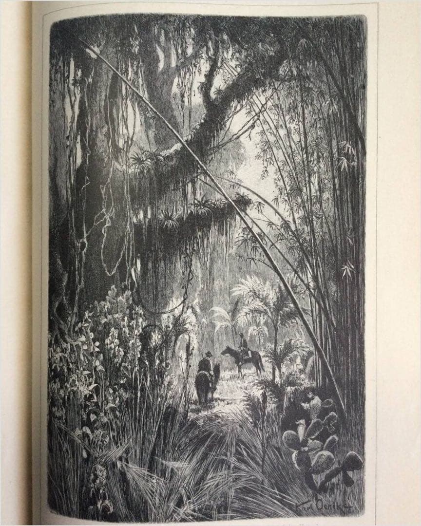 1897年　アンティーク木版・挿し絵集　約300ページ
