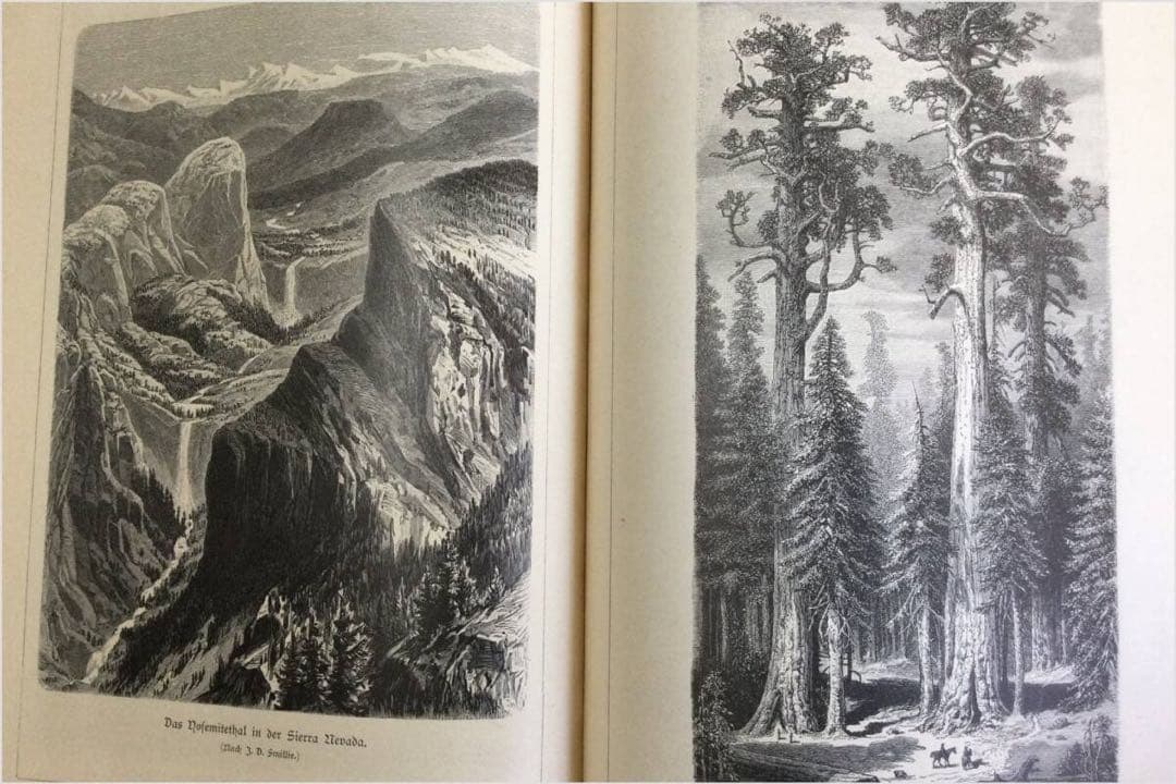 1897年　アンティーク木版・挿し絵集　約300ページ