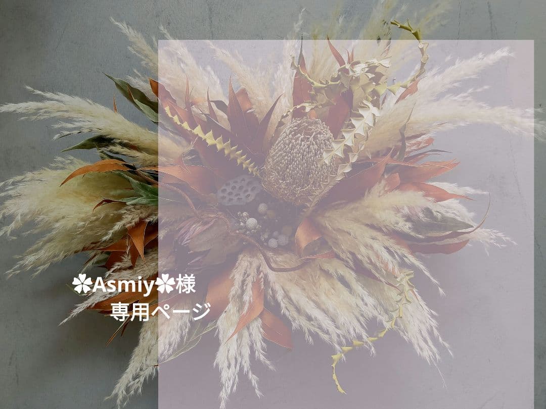 ✿Asmiy✿ページ