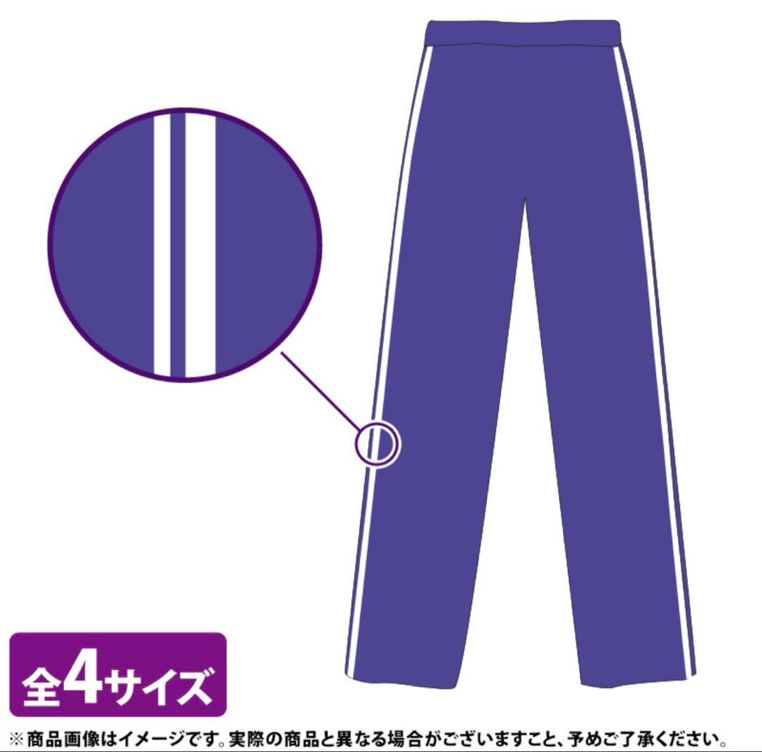 【新品】乃木坂46 金川紗耶 ネーム入りジャージ 上下Lサイズ 公式品 おまけ付