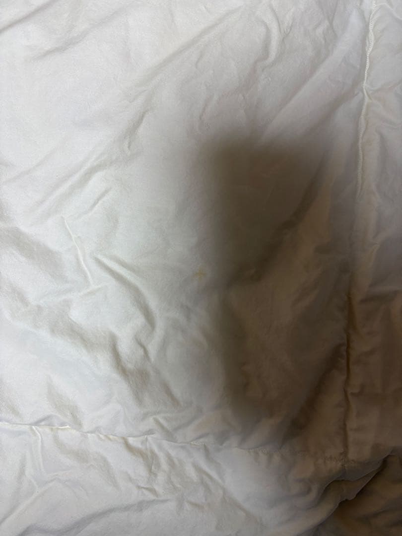 羽毛掛け布団　フランスベッド　ダウン90% フェザー10% 0.4kg充填肌掛け