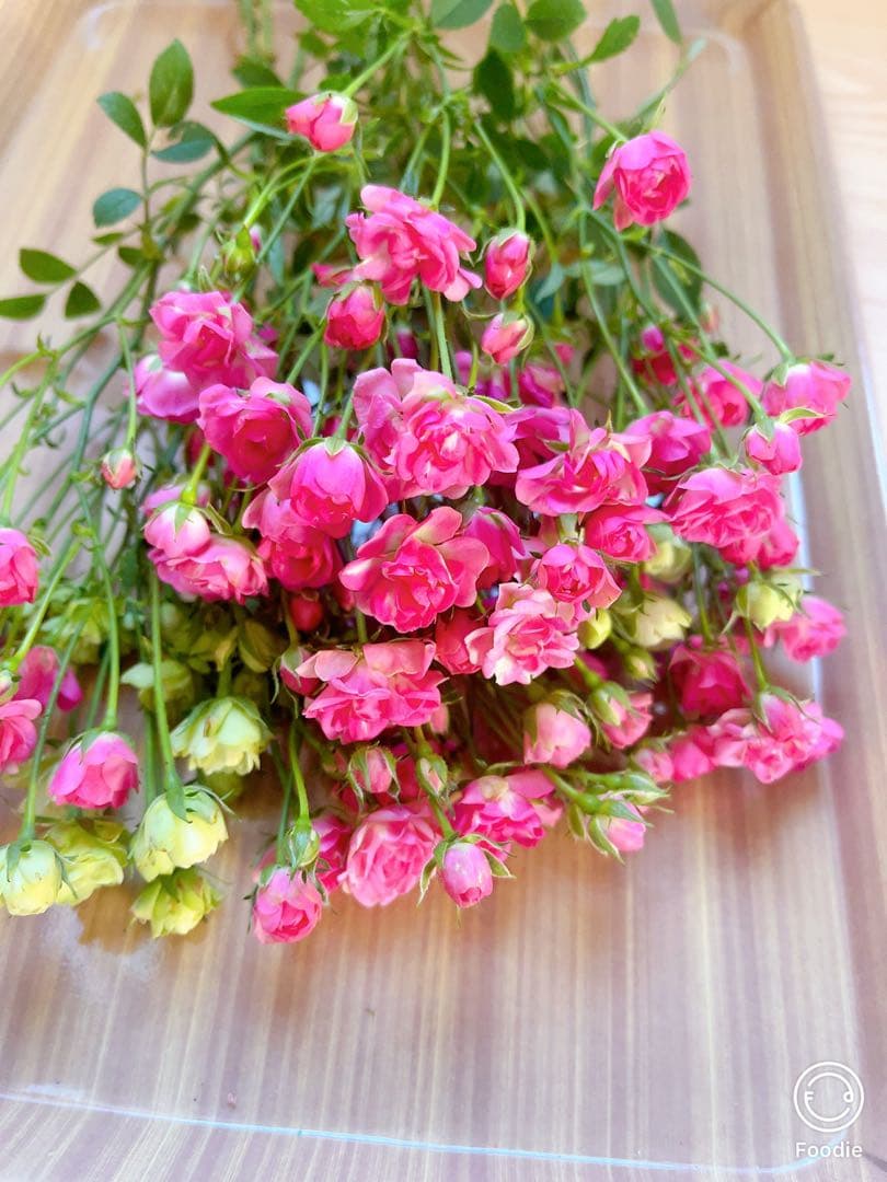 生花　極小薔薇　生花バラ　レジン　キャンドル　ドライフラワー薔薇　ハーバリウム