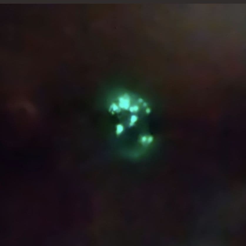 妖精姫龍アートドール ドラゴン ぬいぐるみ Dragon artdoll蓄光